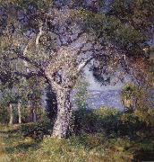 Guy Rose The Oak oil